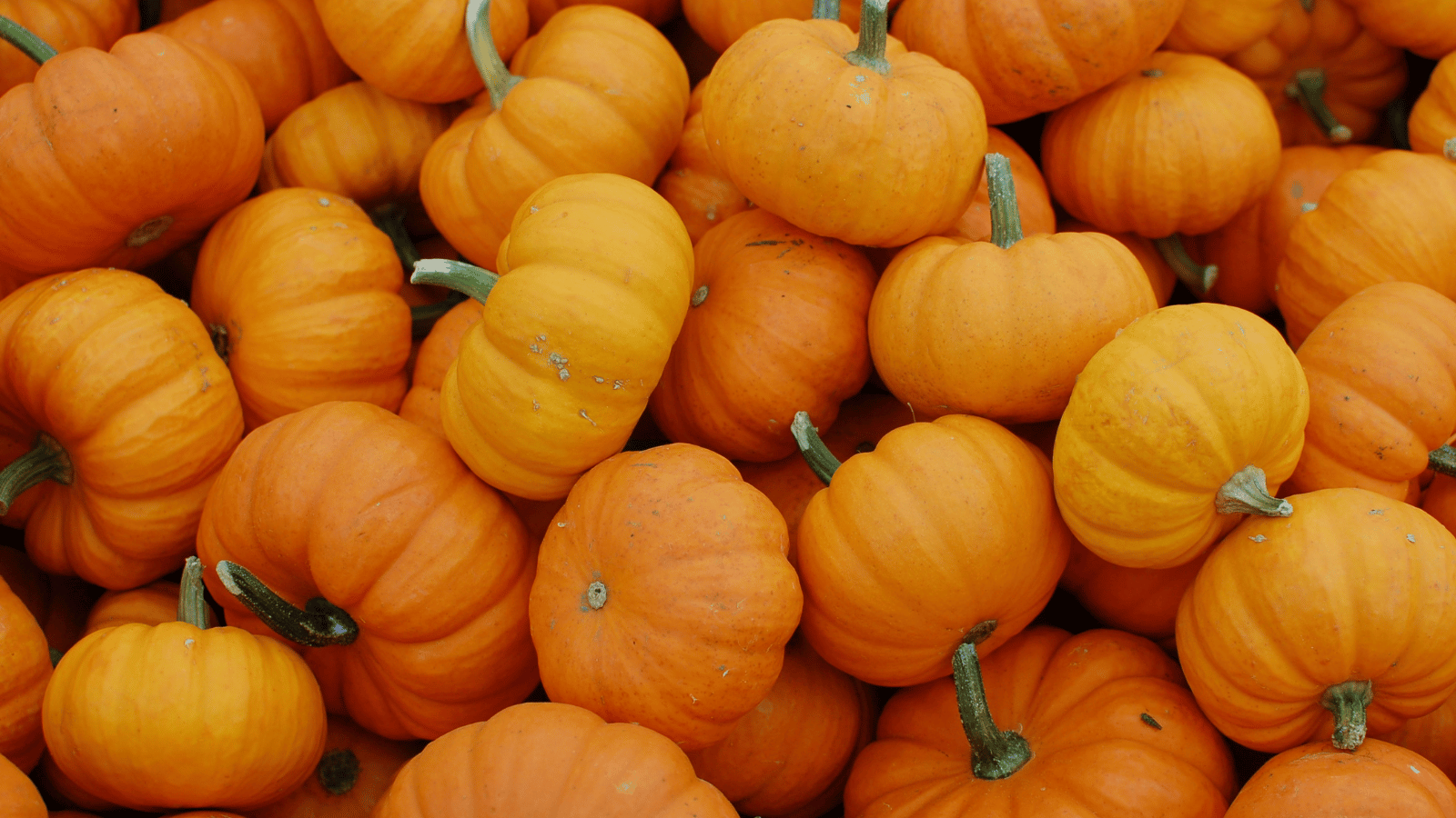 October BCC Events Placeholder