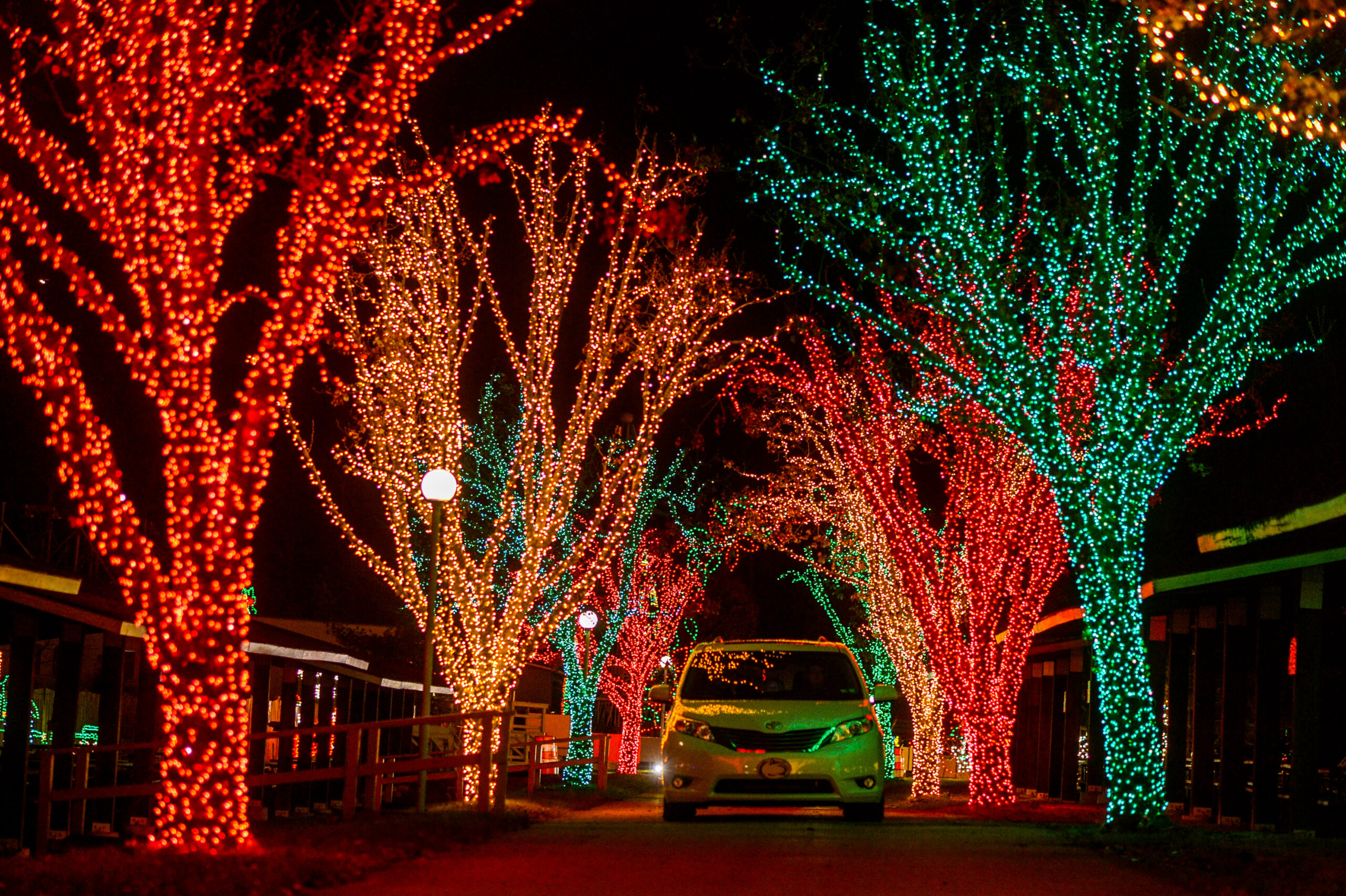 LakemontLights-6096-scaled