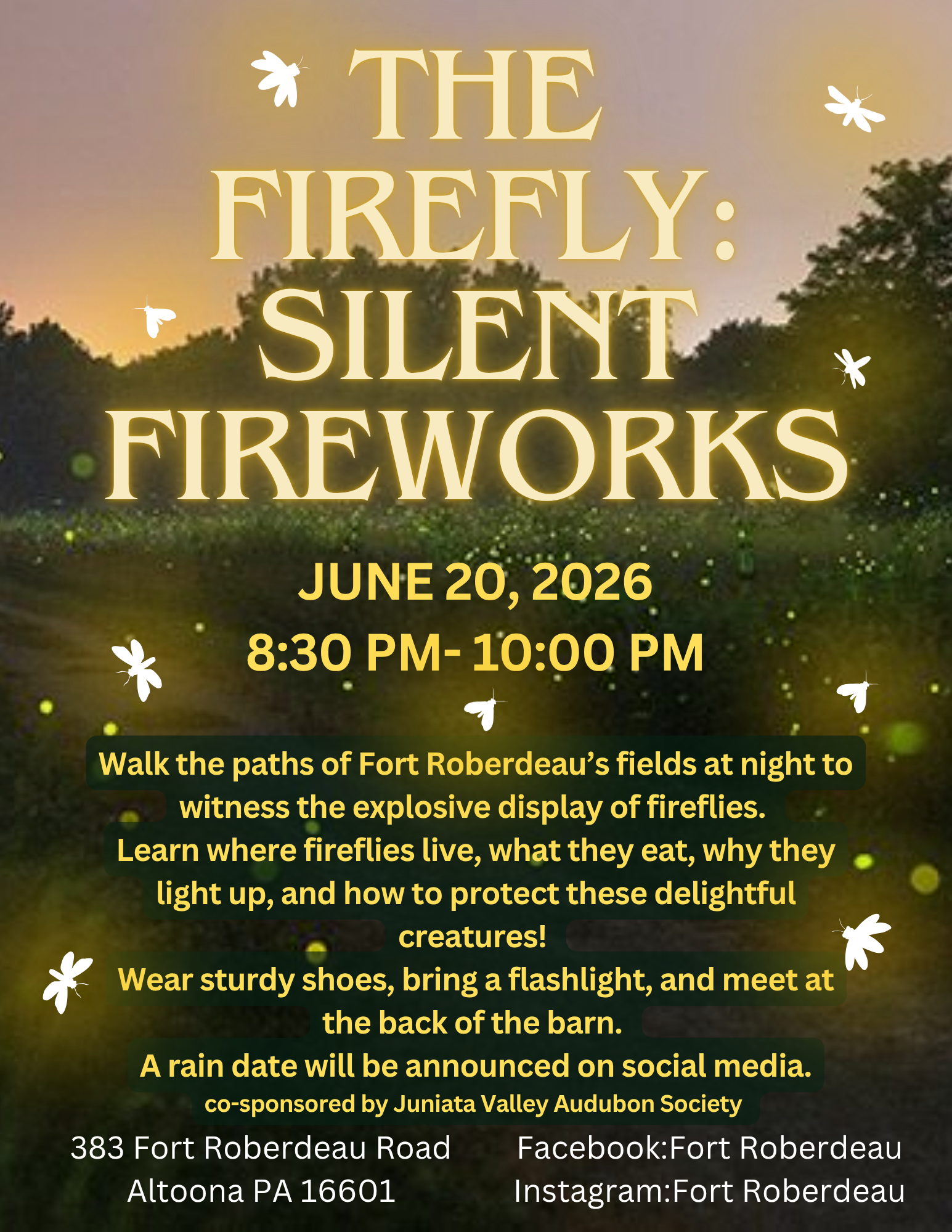 June Nature Program- Firefly Walk with blurb 2026 (1)