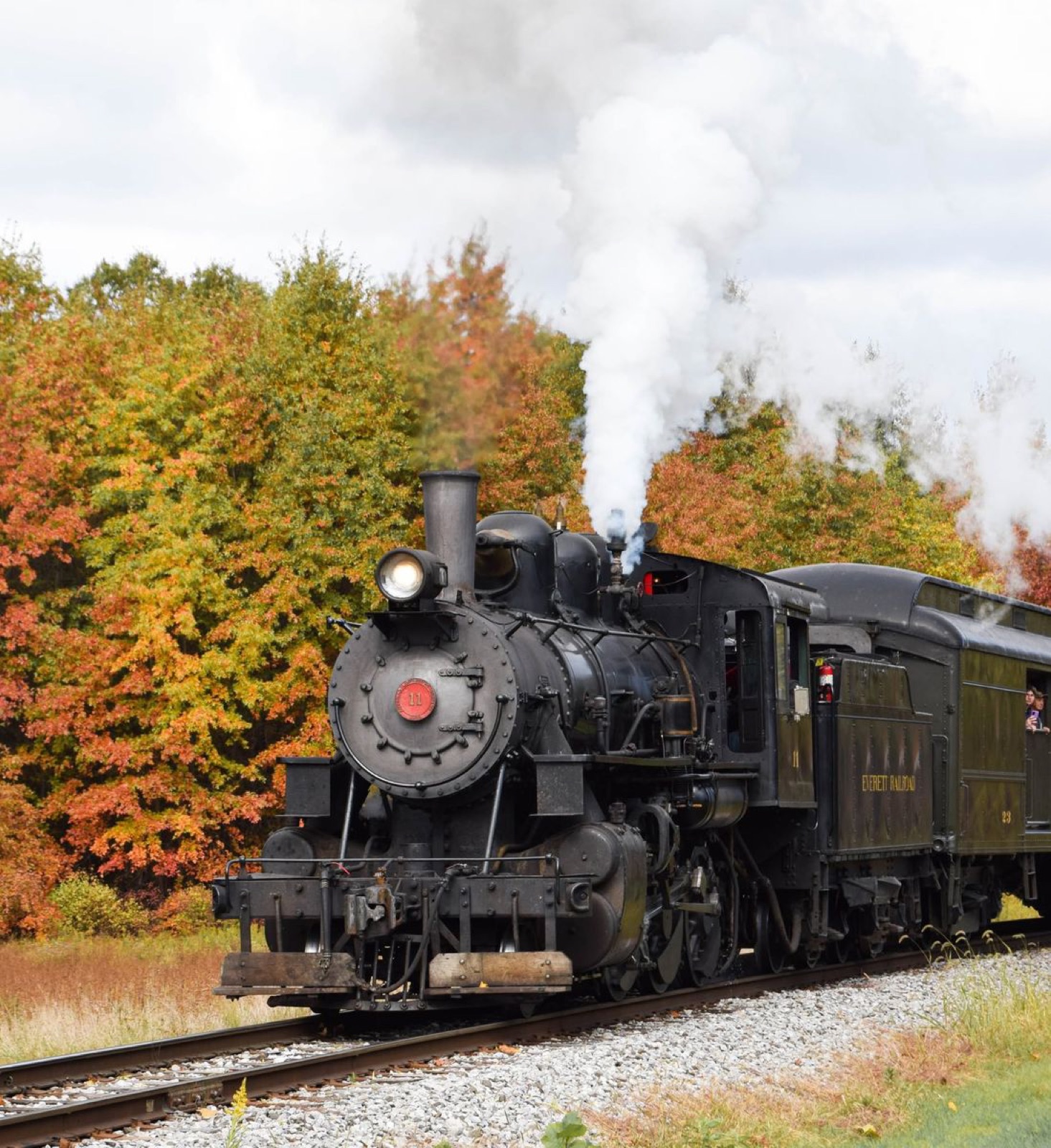 Steam train through autumn foliage