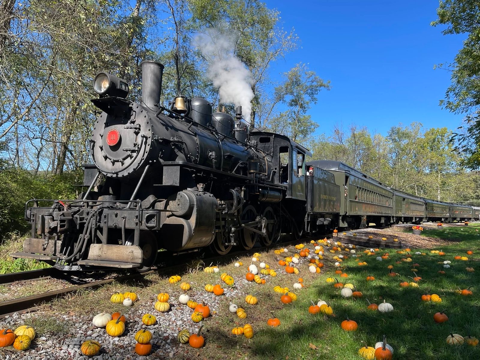 Steam train beside a pumpkin patch